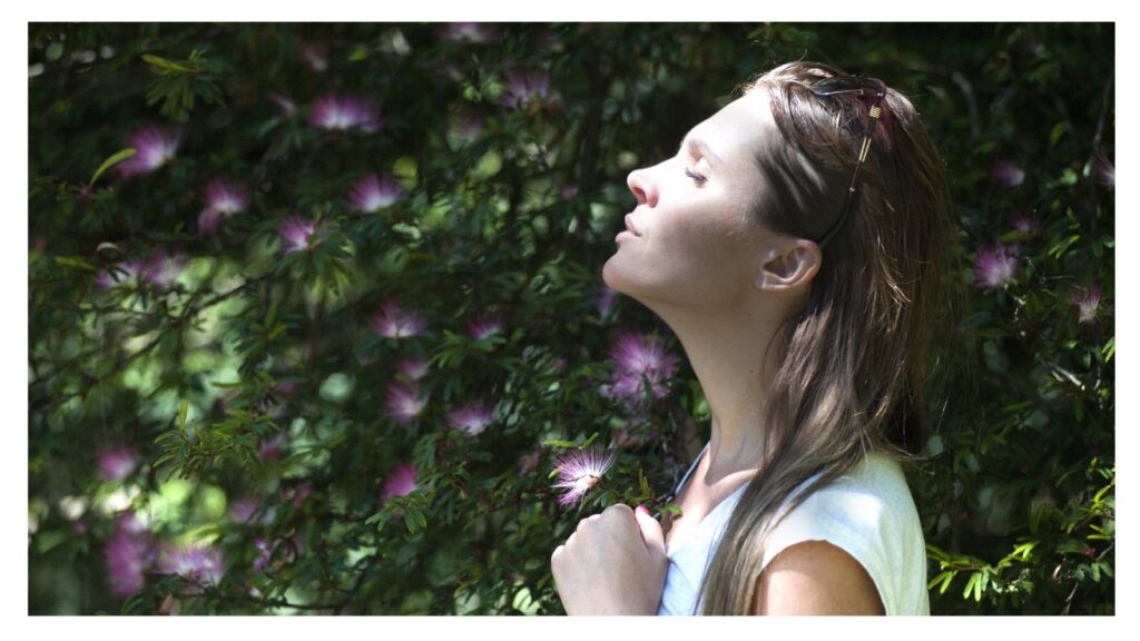 whatsapp image 2025 11 22 at 18.24.57